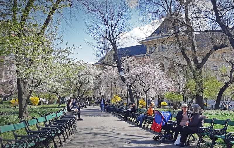 Prognoza meteo pentru 15 aprilie - 13 mai. Cum va fi vremea de Paști și 1 Mai