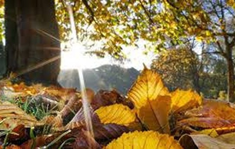 Prognoza meteo. Săptămâna începe cu temperaturi de aproape 20 de grade