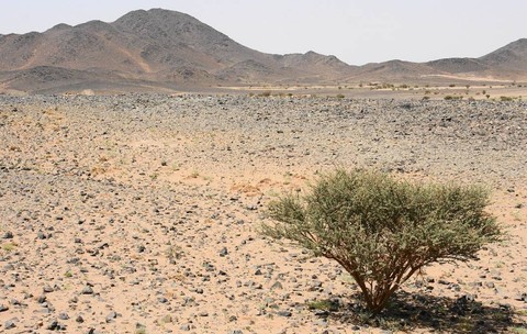Un zăcământ uriaș, cu peste 110 milioane de tone de minereu cu pământuri rare și uraniu, a fost găsit la Jabal Sayid. Imagine cu caracter ilustrativ. Sursă foto: darrylkeith / Wikimedia Commons / CC BY-SA 3.0