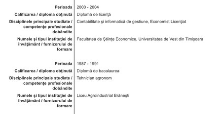 Extras din CV-ul lui Costel Barbu de pe site-ul Camerei Deputaților