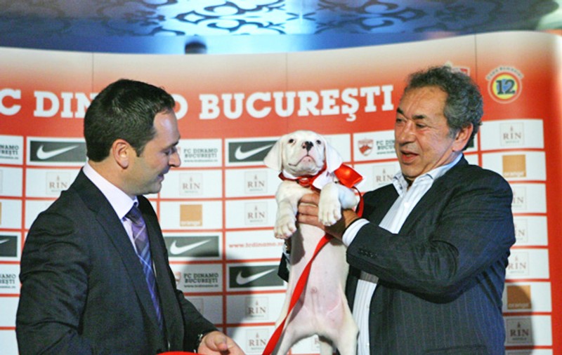 FOTO | Căţel de 1.000.000 €