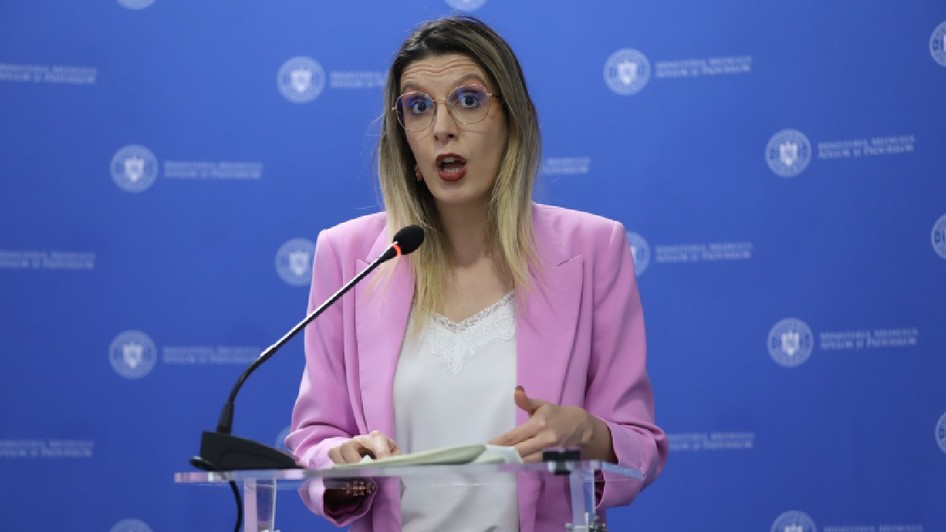 diana-buzoianu, ministrul mediului, la o conferinta de presă