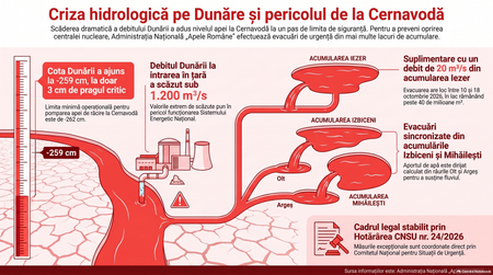 Infografic generat cu ajutorul Inteligenței Artificiale