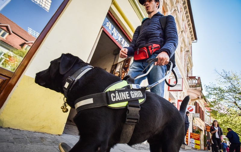 Povestea primului nevăzător din Sibiu ajutat de un câine de ghidaj