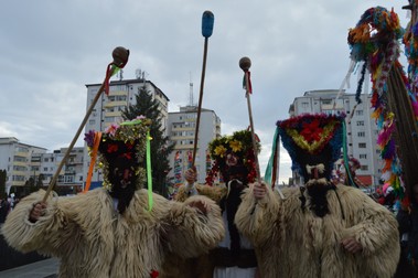 Arhiva foto