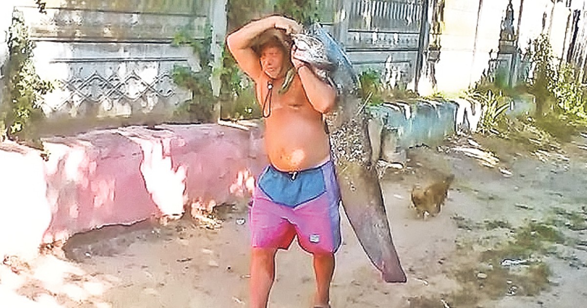 Arhiva foto