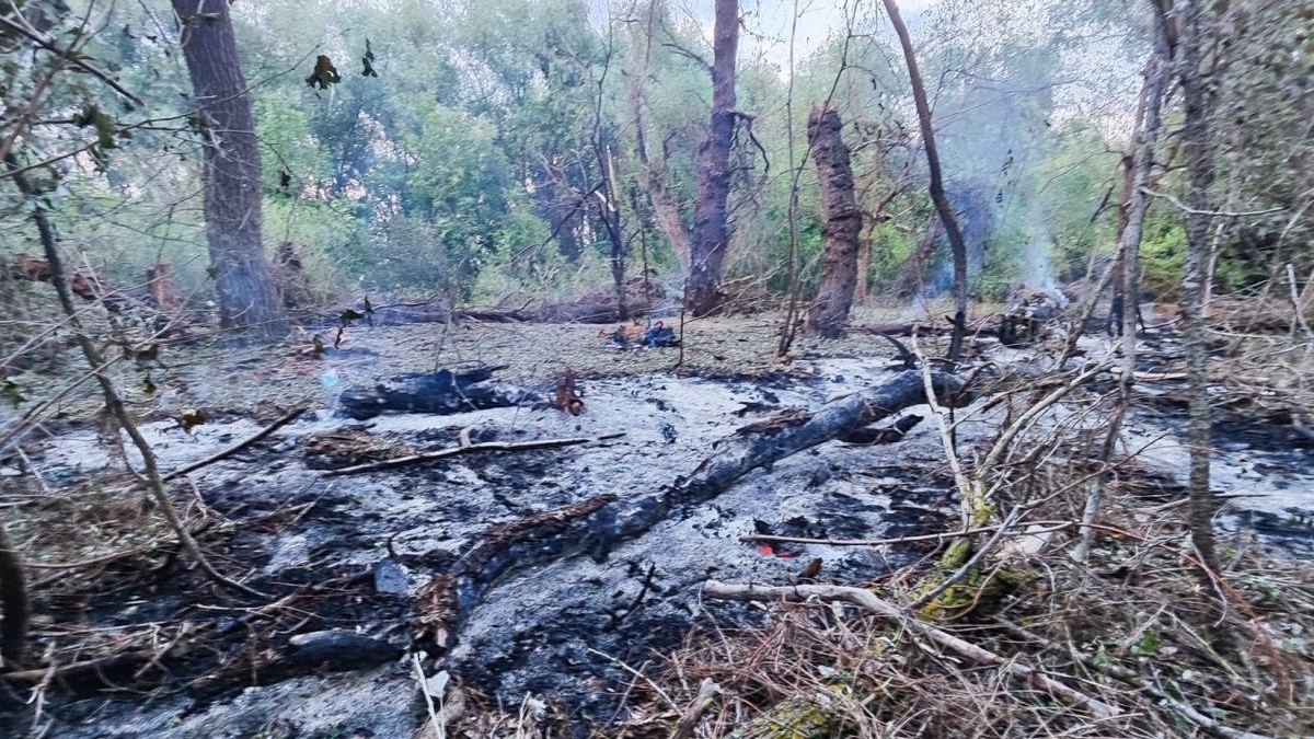 Pe 25 iulie, MApN a anunțat că fragmente dintr-o dronă rusească de tip Geran1/2 au fost descoperite într-o zonă din apropierea localității tulcene Plauru, după căutările începute cu o zi în urmă, în urma unui atac masiv al rușilor în Ucraina