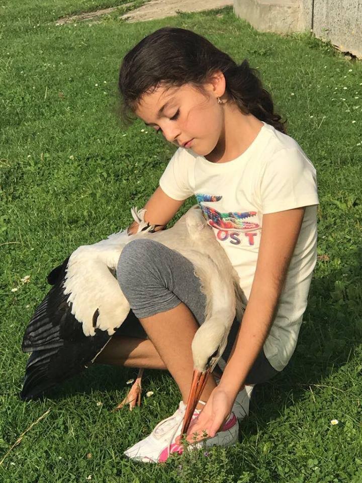 Arhiva foto