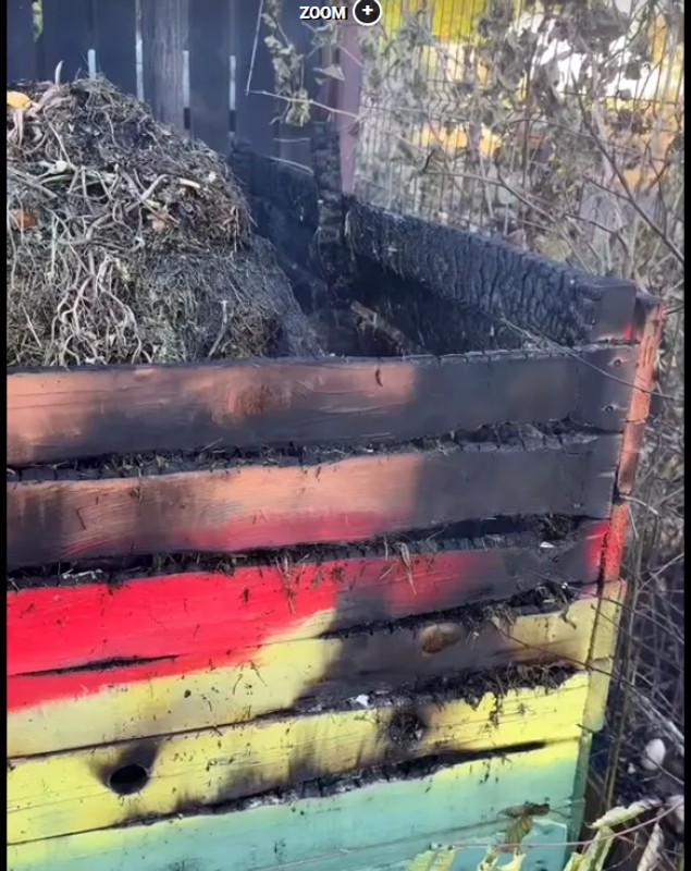 Clipe de panică pentru Ioana Ginghină. „La un pas să luăm astăzi foc din cauza unui vecin inconștient”