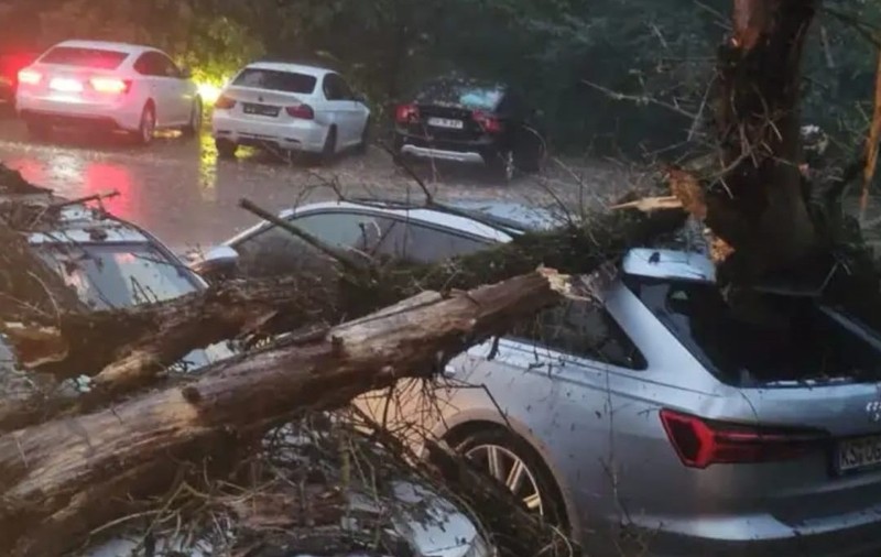 Furtună violentă la Iaşi: copaci doborâți de vânt peste mașini în cartierele Ciric și Tătărași