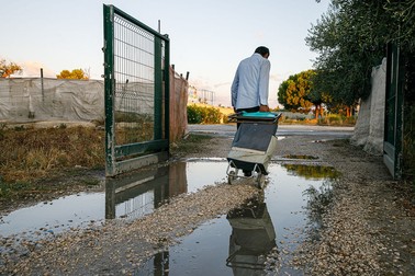 Un bărbat din tabără pleacă dis de dimineață cu acordeonul în căruț ca să cânte pe străzi