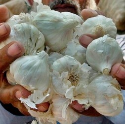 Arhiva foto