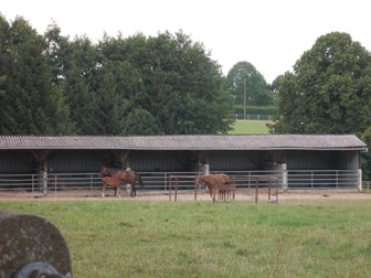 Arhiva foto