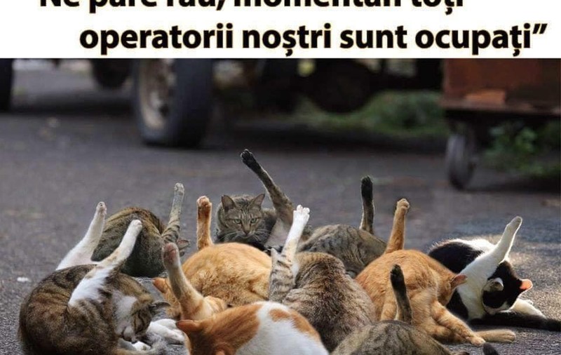 Cele mai tari glume și MEME-uri, după ce a picat reţeaua Orange. "Reţea înjunghiată, cu secţionări multiple"
