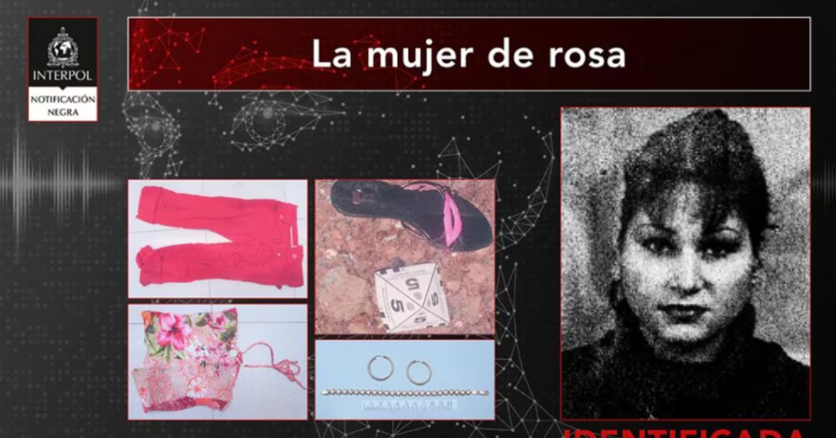 Imaginea arată un afiș Interpol despre „La mujer de rosa”,( Femeia în roz) unde sunt prezentate hainele și bijuteriile acesteia alături de portretul ei, cu mențiunea „Identificada”(Identificată)