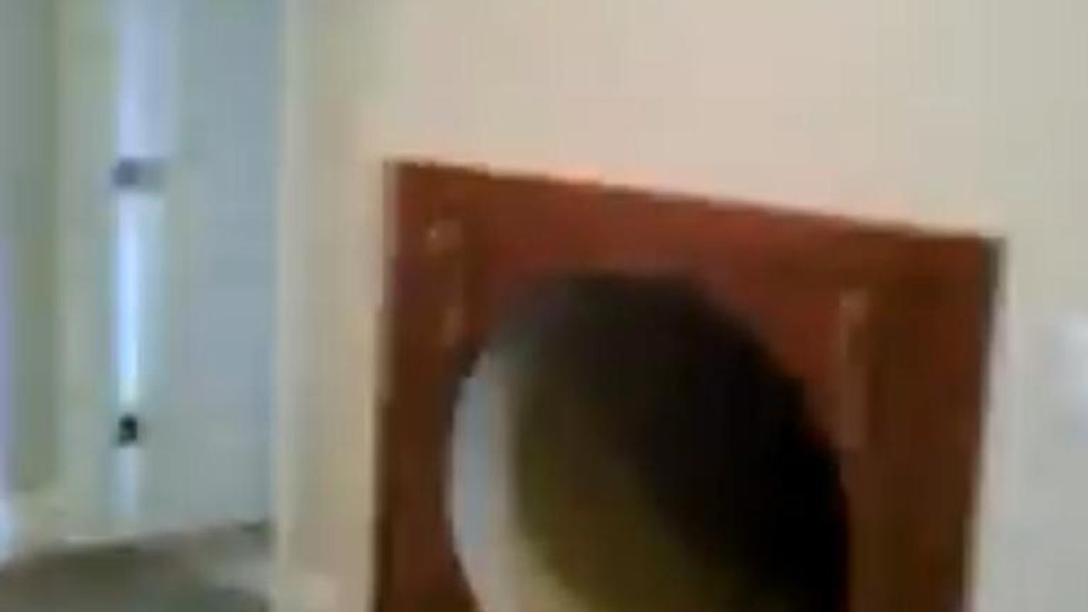Arhiva foto