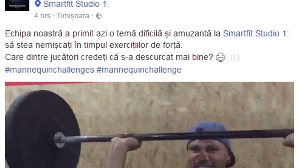 Mannequin Challenge