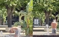 Un bărbat îmbrăcat în pantaloni gri se spală cu săpun într-o fântână arteziană, înconjurată de plante, din Italia.