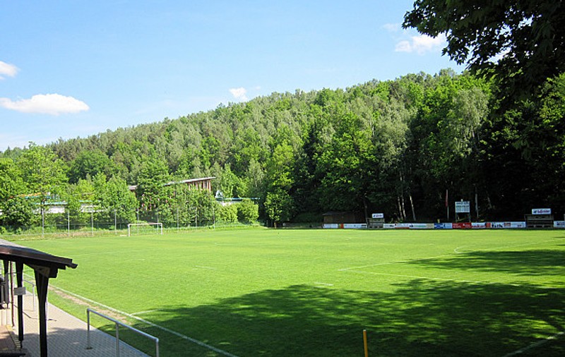 Albinele au oprit un meci de fotbal din Germania, după ce un jucător a tras din greșeală într-un stup