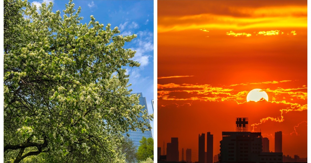 Un colaj realizat din două fotografii: cea din stânga cu copaci înverziți, iar cea din dreapta cu un apus de soare într-un oraș plin de clădiri.