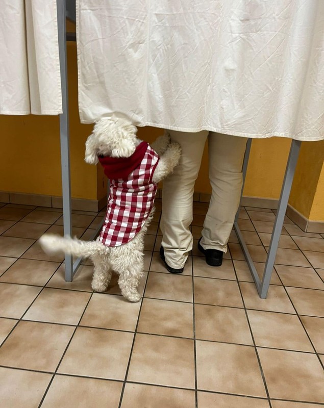 Imagini cu românii care au votat în diaspora la alegerile prezidențiale. Cel mai vârstnic alegător are 100 de ani