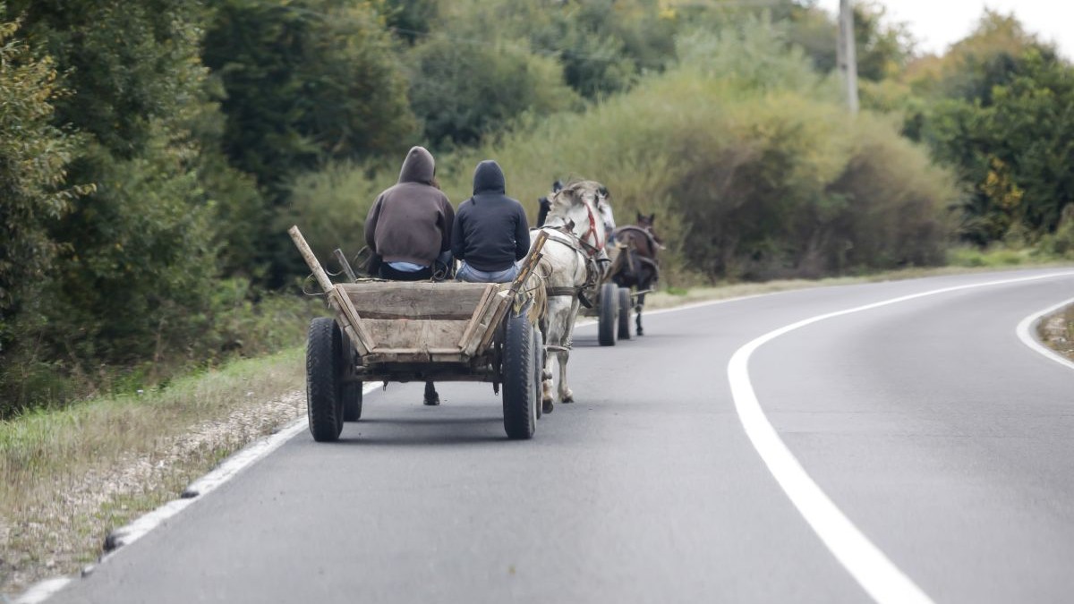O căruță trasă de un cal, în care se află doi bărbașți, îmbrăcați gros, pe un drum național cu linie continuă