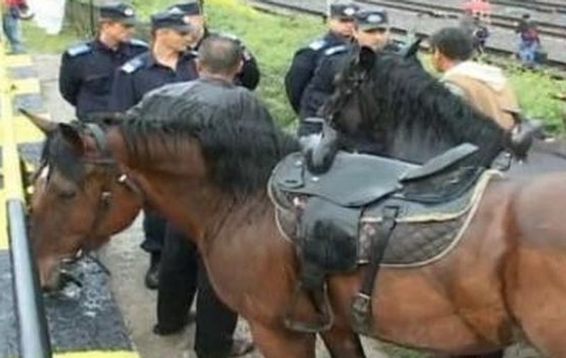 Poneiul și vaca, protest pe DN1