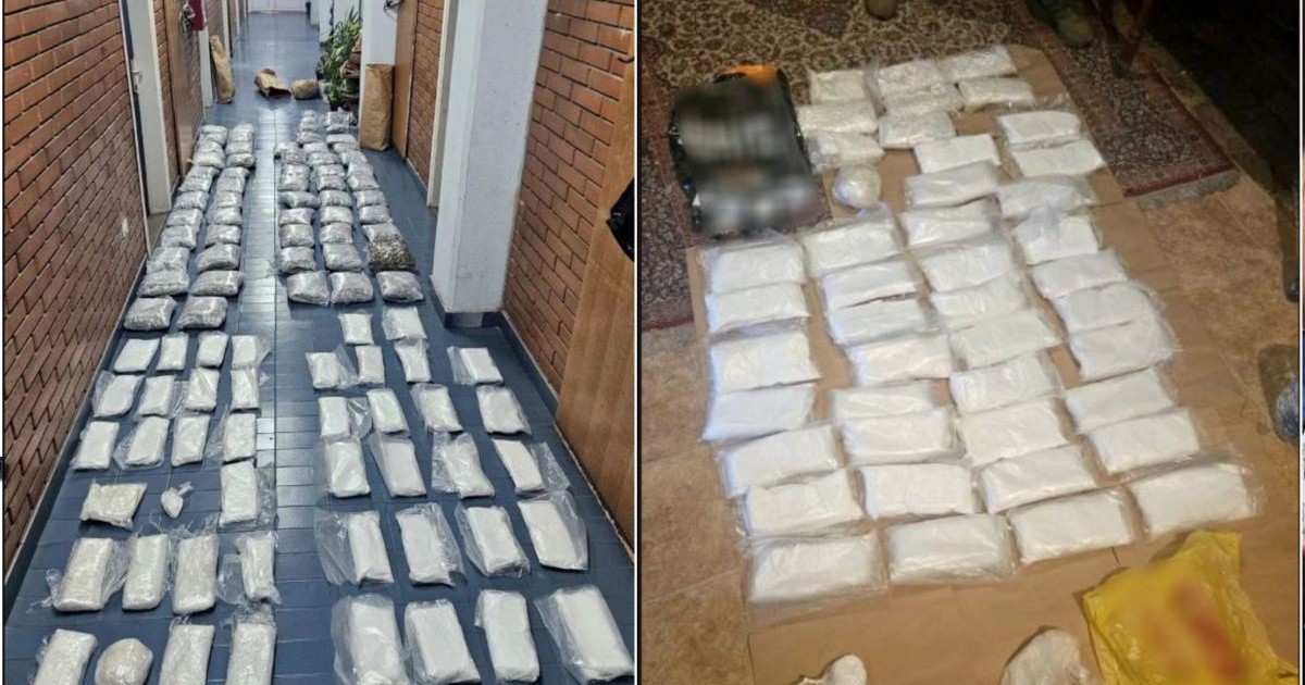 Droguri găsite de poliție la percheziții, în Serbia, iunie 2026