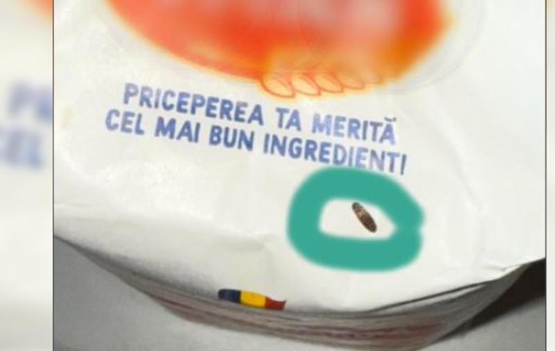 Ce a găsit un clujean în punga de făină cumpărată din supermarket: „Acest trist ingredient și-a găsit sfârșitul”