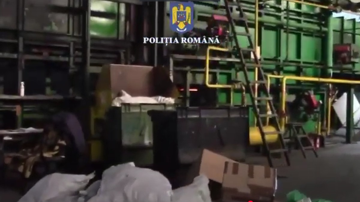 droguri distruse de politie