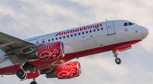 O aeronavă Animawings (Airbus A320-214) cu numărul de înmatriculare YR-AGD, surprinsă în timp ce decolează de pe pistă