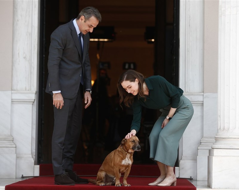 Klaus Iohannis, întâmpinat la Guvernul Greciei de celebrul câine adoptat de premierul Mitsotakis