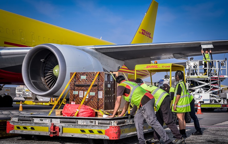 Când coletele au prins viață: cum să transporți cu avionul antilope și babuini? Cele mai neobișnuite livrări făcute în 2025