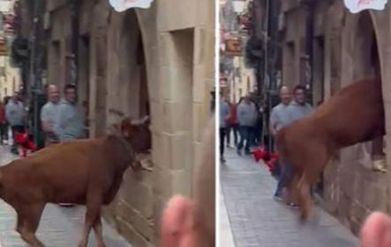 Un taur a sărit pe geamul unei brutării, în timpul unui festival, în Spania: „Dacă nu fugeam, mă călca în picioare”