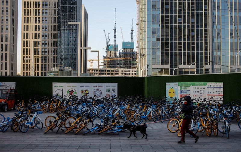 Decizie radicală luată în China. Câinii  vor fi confiscați și uciși, dacă stăpânii îi scot la plimbare