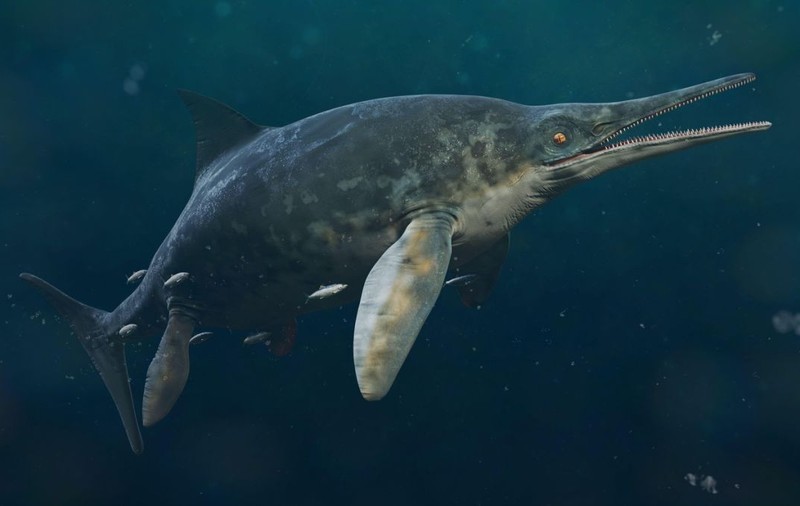 Creatură marină „stranie” descoperită în Marea Britanie ar putea dezlega un mister vechi de 184 de milioane de ani
