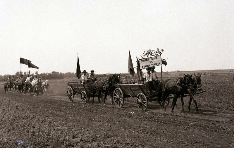 Falimentul agriculturii comuniste. Cum a ajuns un CAP din Dolj să erbicideze grâul cu celebra substanță otrăvitoare „verde de Paris”