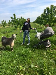 Arhiva foto
