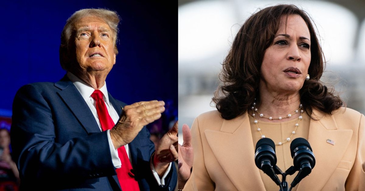 Colaj cu Donald Trump și Kamala Harris Foto: Profimedia