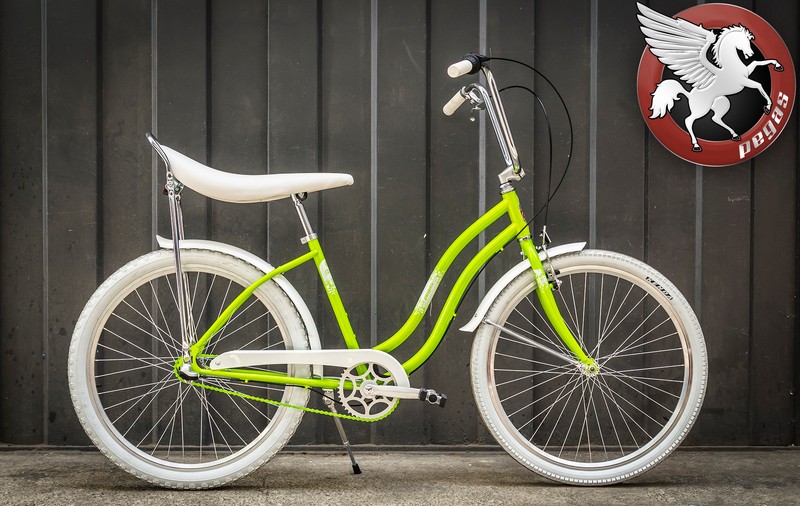 Compania germană care deține brandul Pegasus cere în instanță anularea mărcii românești de biciclete Pegas. Ce motive invocă și ce spune firma românească