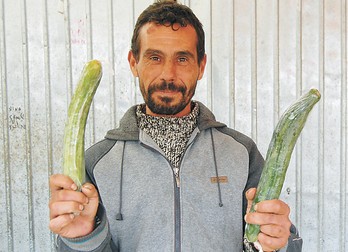 Arhiva foto