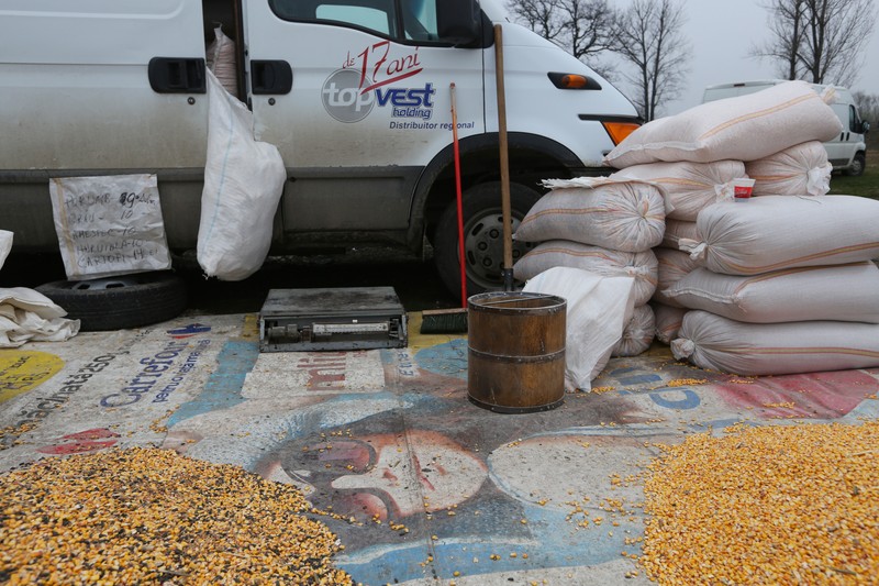 20 de kilograme de porumb boabe, conţinutul vasului de lemn numit ”dublă”, costă 9 lei. Grâul, 10 lei