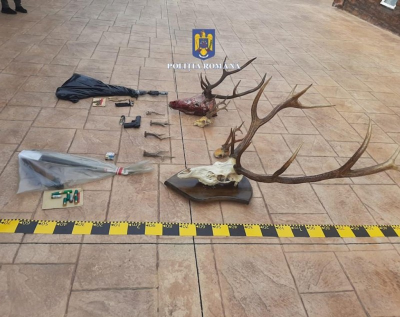 Peste cinci tone de carne de vânat și 197 de trofee, confiscate de la braconieri. 566 de persoane sunt cercetate