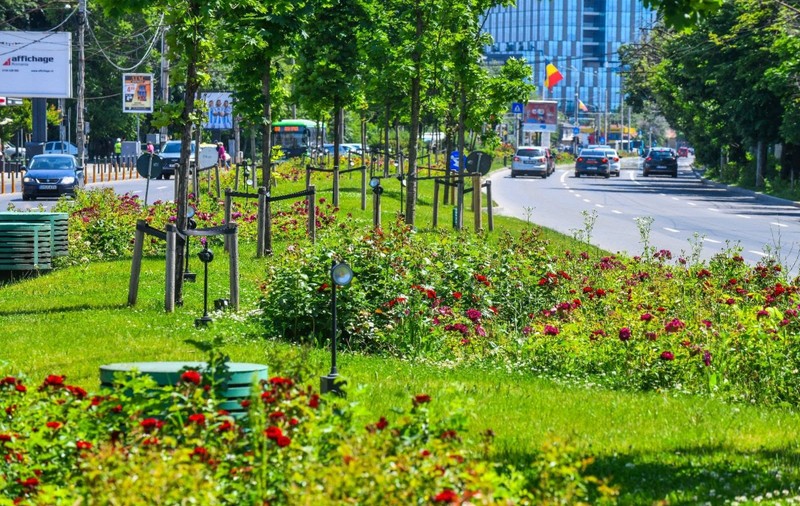 Peste un miliard de euro, suma pe care primăriile de sector din București o vor cheltui pentru spațiile verzi