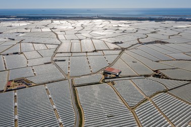 Ferme de căpșuni în provincia Huelva, Spania