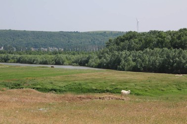 Balta Geraiului, imagine de dinainte de incendiu | Foto: Primăria Islaz