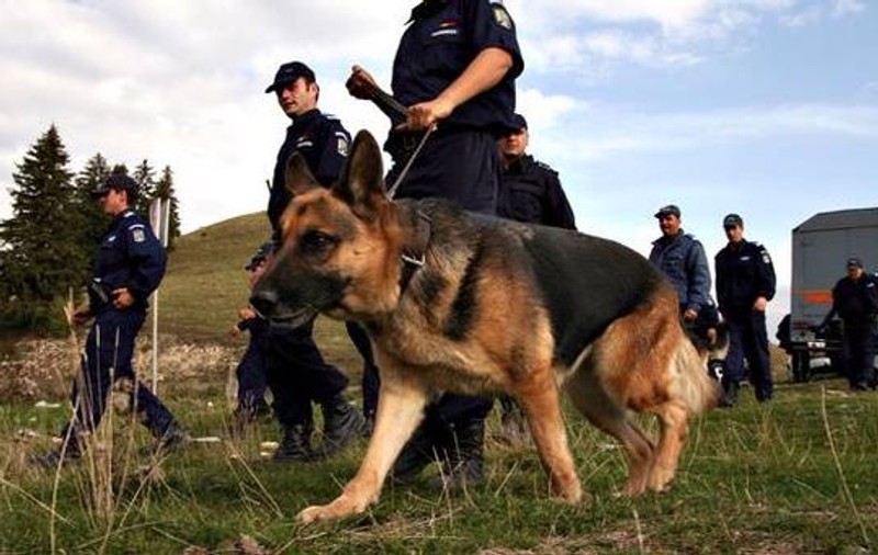 Bărbat din Severin, căutat de 150 de oameni după ce a fost dat dispărut în Munţii Semenic 