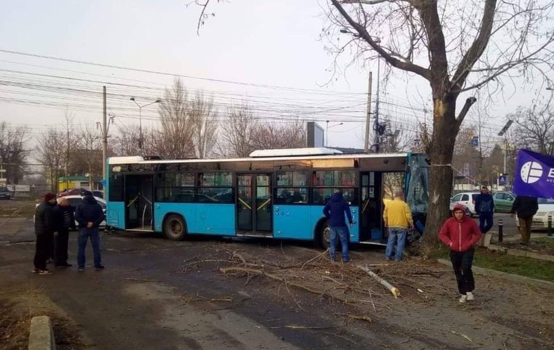 FOTO / Un autobuz Otokar a intrat într-un copac. Consilier general: „Posibil să fi rămas fără frâne”. Directorul STB: „Avea viteză prea mare, a încercat să evite o altă mașină”