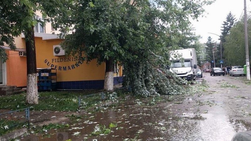 Arhiva foto