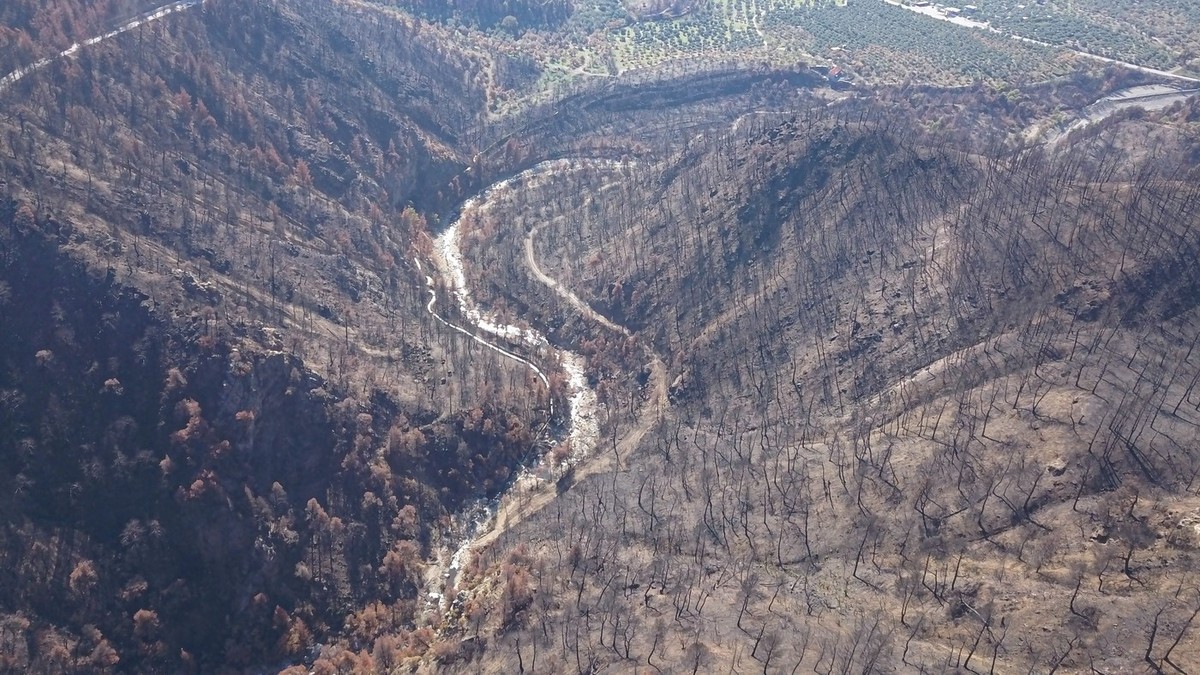 Arhiva foto